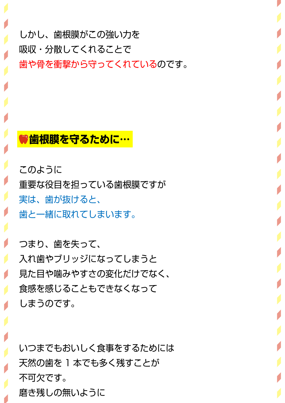 縁の下の力持ち！歯根膜って何者！？4