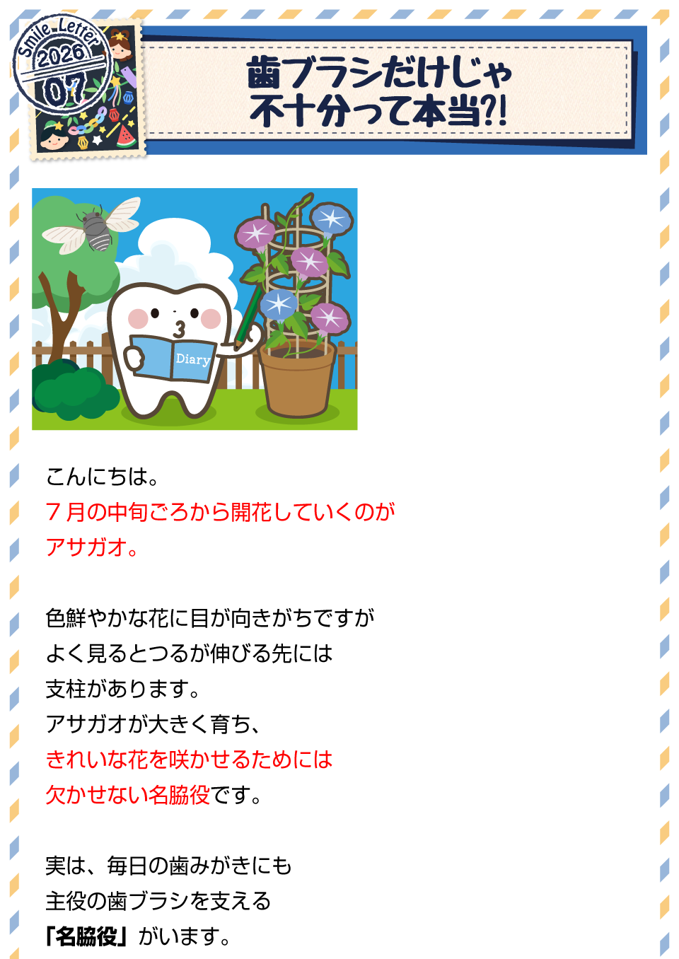 歯ブラシだけじゃ不十分って本当？！1